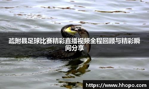 壹号娱乐下载